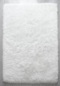 Shagy rug