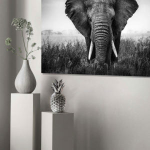 DECORATION