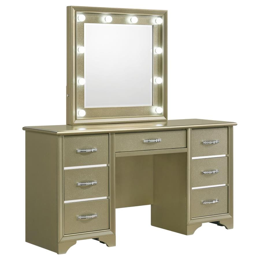 Vanity