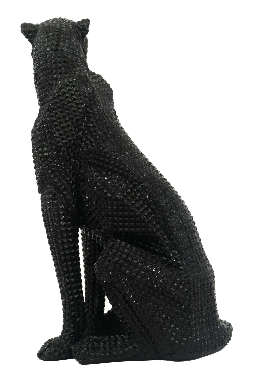 Sitting Studded Black Leopard