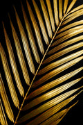 Gold Leaf Glass