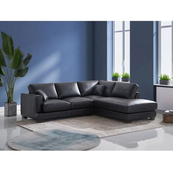 Sectional