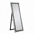 Floor Mirror