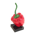 DECORATION